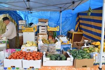 Día del Artesano y Labrador en Jinámar (Foto TA)